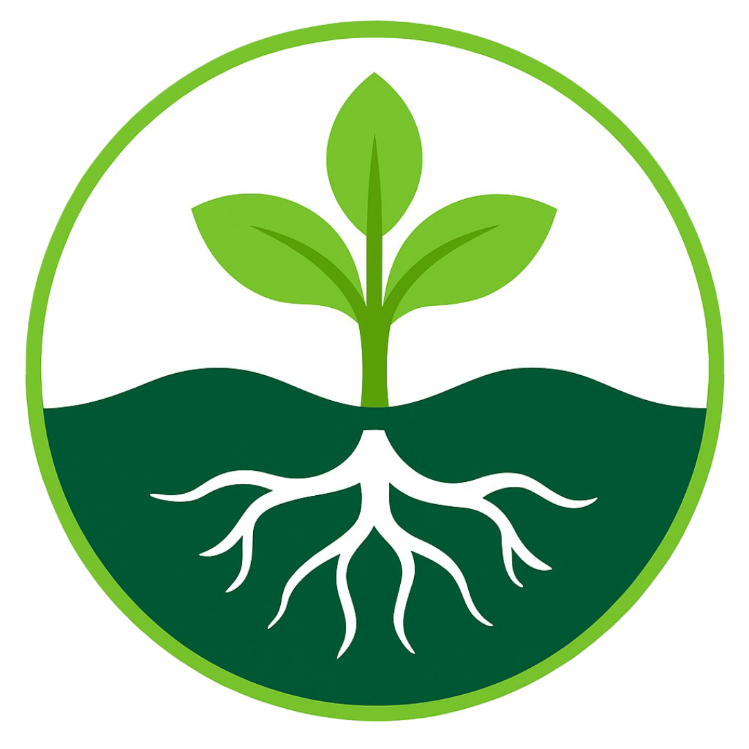 STEMSeeds Logo